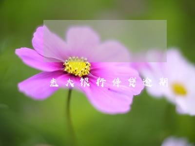 光大银行停贷逾期 光大银行停贷逾期