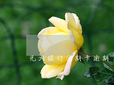 光大银行分期卡逾期了怎么办 光大银行分期卡逾期了怎么办