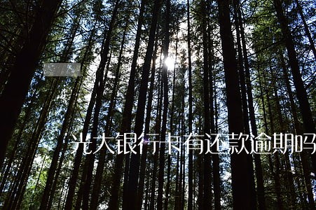 光大银行卡有还款逾期吗 光大银行卡有还款逾期吗