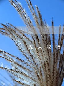 光大银行卡逾期证明 光大银行卡逾期证明