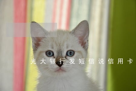 光大银行发短信说信用卡逾期 光大银行发短信说信用卡逾期