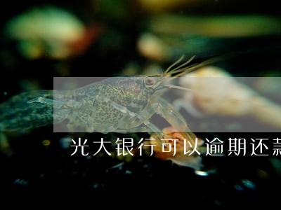 光大银行可以逾期还款 光大银行可以逾期还款