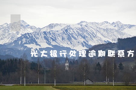 光大银行处理逾期联系方式 光大银行处理逾期联系方式