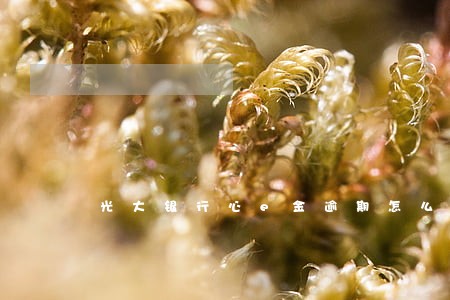 光大银行心e金逾期怎么办 光大银行心e金逾期怎么办