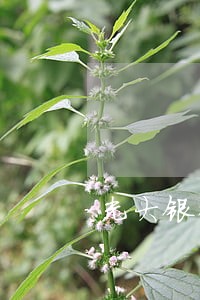 光大银行房贷有逾期期限吗 光大银行房贷有逾期期限吗
