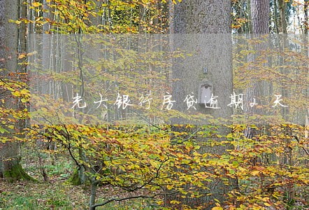 光大银行房贷逾期2天 光大银行房贷逾期2天