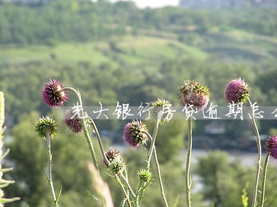 光大银行房贷逾期怎么补交 光大银行房贷逾期怎么补交