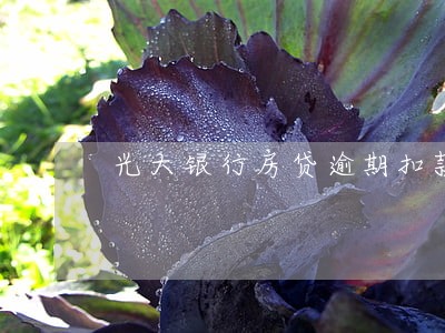 光大银行房贷逾期扣款 光大银行房贷逾期扣款