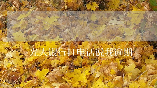 光大银行打电话说我逾期 光大银行打电话说我逾期