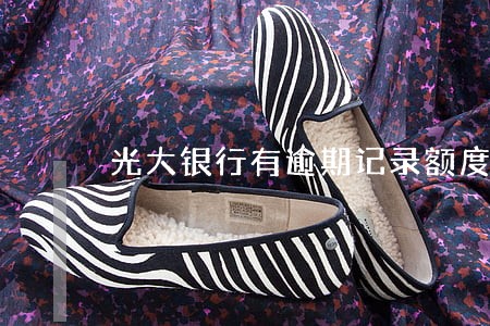 光大银行有逾期记录额度 光大银行有逾期记录额度