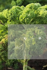 光大银行电票逾期托收 光大银行电票逾期托收