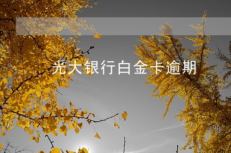 光大银行白金卡逾期 光大银行白金卡逾期
