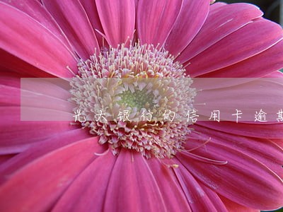 光大银行的信用卡逾期会上门吗 光大银行的信用卡逾期会上门吗