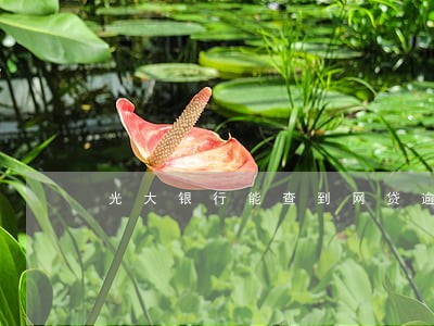 光大银行能查到网贷逾期吗 光大银行能查到网贷逾期吗