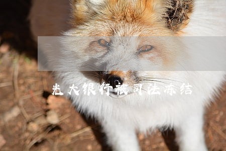 光大银行被司法冻结 光大银行被司法冻结