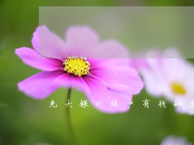 光大银行账户有钱却逾期利息 光大银行账户有钱却逾期利息