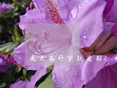 光大银行贷款逾期2天 光大银行贷款逾期2天