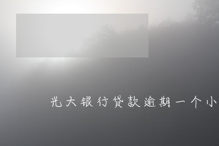 光大银行贷款逾期一个小时 光大银行贷款逾期一个小时