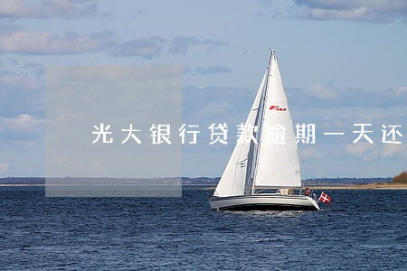 光大银行贷款逾期一天还款 光大银行贷款逾期一天还款