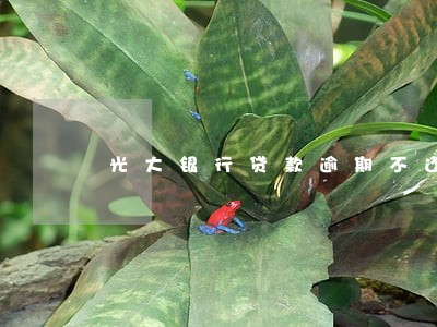 光大银行贷款逾期不还 光大银行贷款逾期不还