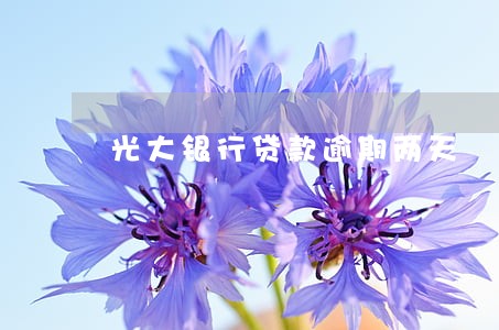 光大银行贷款逾期两天 光大银行贷款逾期两天