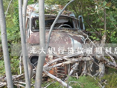 光大银行贷款逾期利息 光大银行贷款逾期利息