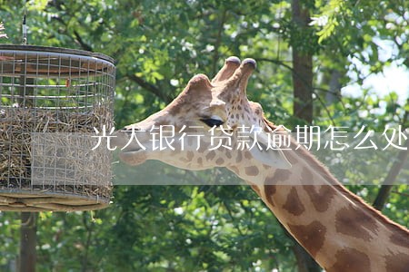 光大银行贷款逾期怎么处理 光大银行贷款逾期怎么处理