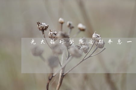 光大银行贷款逾期本息一天 光大银行贷款逾期本息一天