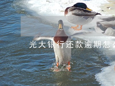 光大银行还款逾期怎么办 光大银行还款逾期怎么办