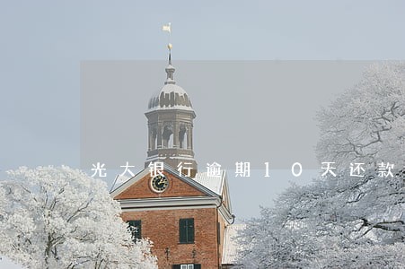 光大银行逾期10天还款 光大银行逾期10天还款