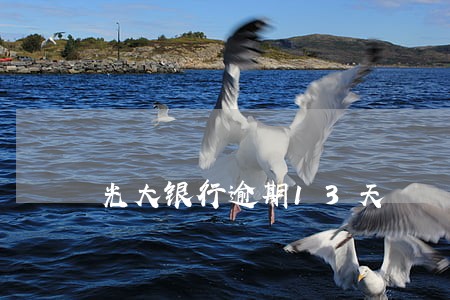光大银行逾期13天 光大银行逾期13天