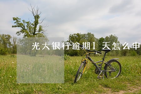 光大银行逾期1天怎么申诉 光大银行逾期1天怎么申诉