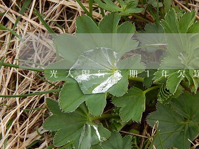 光大银行逾期1年欠款1万 光大银行逾期1年欠款1万