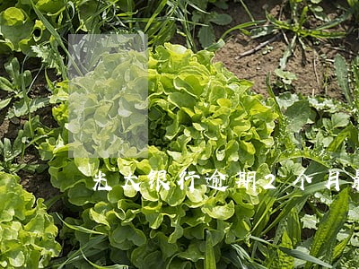 光大银行逾期2个月最低还多少