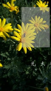 光大银行逾期3000