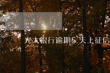 光大银行逾期5天上征信 光大银行逾期5天上征信