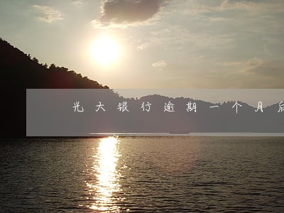 光大银行逾期一个月后果 光大银行逾期一个月后果
