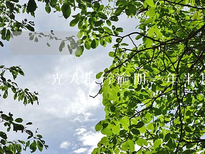 光大银行逾期一年半怎么办 光大银行逾期一年半怎么办