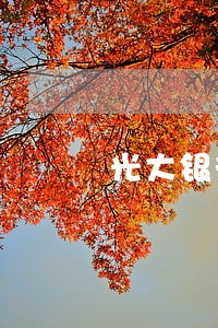 光大银行逾期一次会上征信吗 光大银行逾期一次会上征信吗