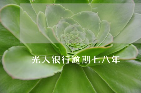 光大银行逾期七八年 光大银行逾期七八年