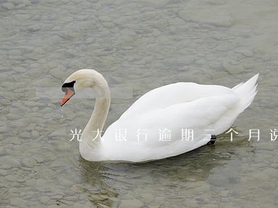 光大银行逾期三个月说报案 光大银行逾期三个月说报案
