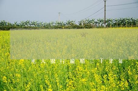 光大银行逾期三千半年 光大银行逾期三千半年