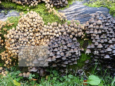 光大银行逾期两期 光大银行逾期两期