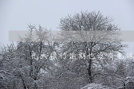 光大银行逾期也没有电话通知银行 光大银行逾期也没有电话通知银行