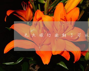 光大银行逾期了可以申请分期还嘛