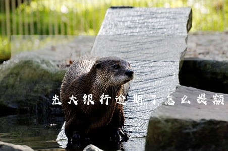 光大银行逾期了怎么提额度 光大银行逾期了怎么提额度