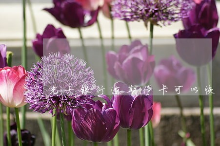 光大银行逾期停卡可以恢复吗 光大银行逾期停卡可以恢复吗