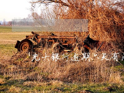 光大银行逾期六天有问题吗 光大银行逾期六天有问题吗