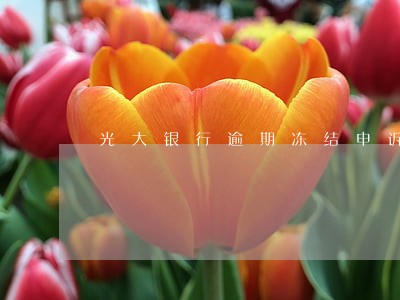 光大银行逾期冻结申诉 光大银行逾期冻结申诉