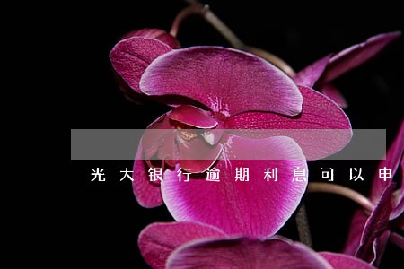 光大银行逾期利息可以申请 光大银行逾期利息可以申请